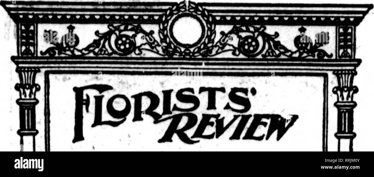 . Fioristi' review [microformati]. Floricoltura. 24 i fioristi' Riesaminare Sbptbmbbb 13, 1917. Istituito, 1897 da G. L. ORA.NT. Pubblicato ogni giovedì da fioristi' Pubhshino Co., 620-660 Oaxtoa Bulldlnfir, 608 South Dearborn San, Ohlca^ro. Tele, Wabash 8195. Cavo registrato indirizzo, Florylew, Chicago. Inserito come seconda classe importa Dec. 3.1897. presso l'ufficio postale al Chi- cago, 111., ai sensi della legge del 3 marzo 1879. Prezzo di sottoscrizione, $1,60 all'anno. Per il Canada, $2.50; per l'Europa, $3.00. Advertlalnf; i tassi quotati su richiesta. Solo il commercio rigorosamente ad- vertlslnir accettato. n "?" ? "TT Foto Stock