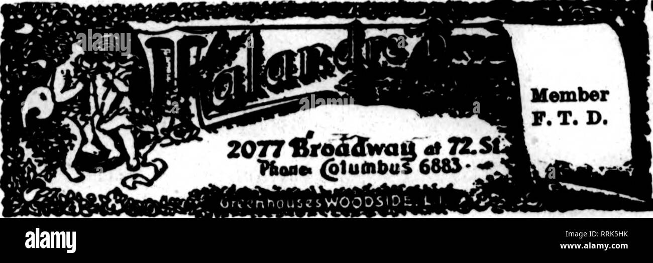 . Fioristi' review [microformati]. Floricoltura. Noi portiamo il grado più alto di fiori recisi di inviarci il vostro nuovo. YORK ordini adiacente a spettacoli teatrali e distretti Hotel Oriente arancio, N. J. Ov/George Smith &AMP; figli ^#, O ^ 557 Main Street ^j ^ EAST ORANGE ^ *9 Maplewood, Glen Ridge e Bloomfield &lt;.^^ o ^^ e Bloomheld &lt; O "^ abbiamo "re situato nel centro Q ^^ iJL di queste città ^^ NEWARK, N. J. PHILIPS BROS. 938 BROAD STREET membri P. T. D. AU medio Siae e vedere NEW JERSEY punti e nordest della Pennsylvania città sono facilmente raggiungibile da TRENTON MARIN C. RIBSAM. Fioraio Stati F. T. D. Ampio Foto Stock