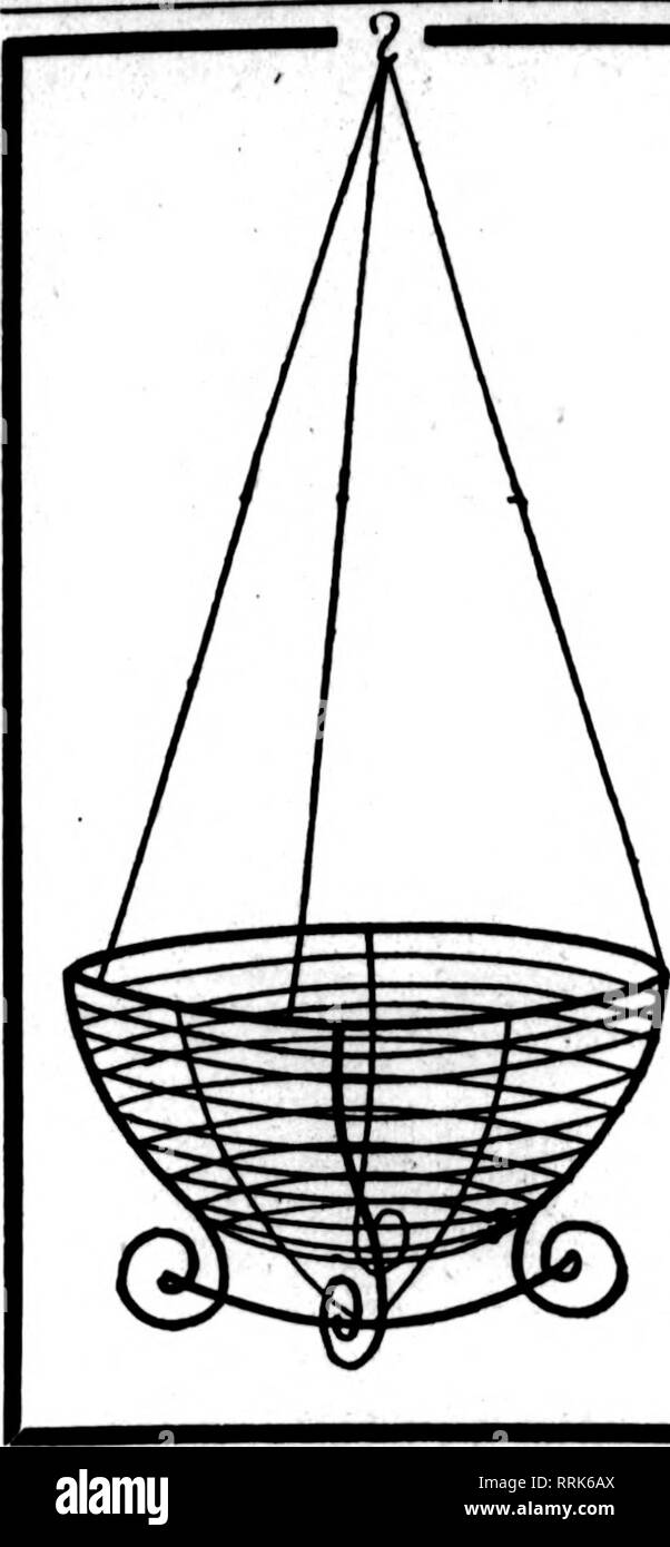 . Fioristi' review [microformati]. Floricoltura. ^ijiv^;'- Febboabt 5, 1020 i fioristi^ Rassegna 55. Filo nei cestini appesi ben fatta tipo. Dipinto, legate con filo zincato. 6 alla dozzina di tasso. 50 AL TASSO DI 100 8-iQch ^ Per doz. $2.00 per 100 $15.00 17.00 22.00 26.00 30.00 46 00 10 pollici mi 2.50 12 pollici 3,00 14 pollici 3,50 16 pollici 4,60 18-iiich 6.00 FOGLIO VERDE MUSCHIO lungo, fogli verde per appendere cesti per sacchetto, $1.50; 10 sacchetti, $14.00 C. E. CRITCHELL, ™%'i:SS."i¥^'= Cincinnati, Ohio è EAST Third Street Galax lascia #. Si prega di notare che queste immagini vengono estratte dalla pagina sottoposta a scansione le immagini che potrebbero hav Foto Stock