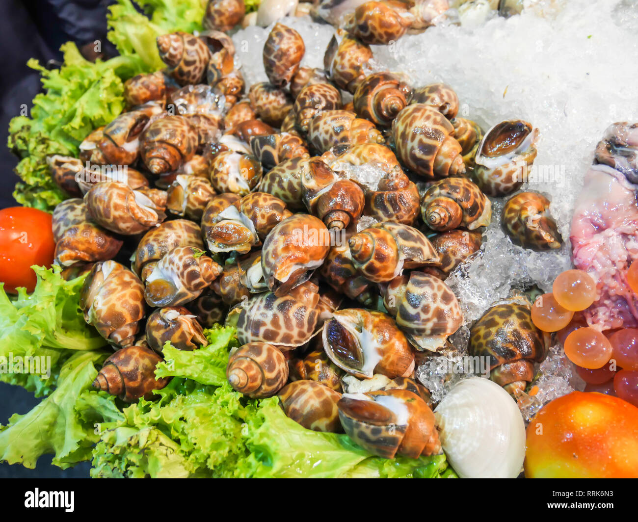 Piatti a base di pesce fresco crostacei " Babylonia areolata', crostacei quali le vongole sono deliziosi frutti di mare su ghiaccio al Mercato Notturno di Hua Hin, Thailandia Foto Stock