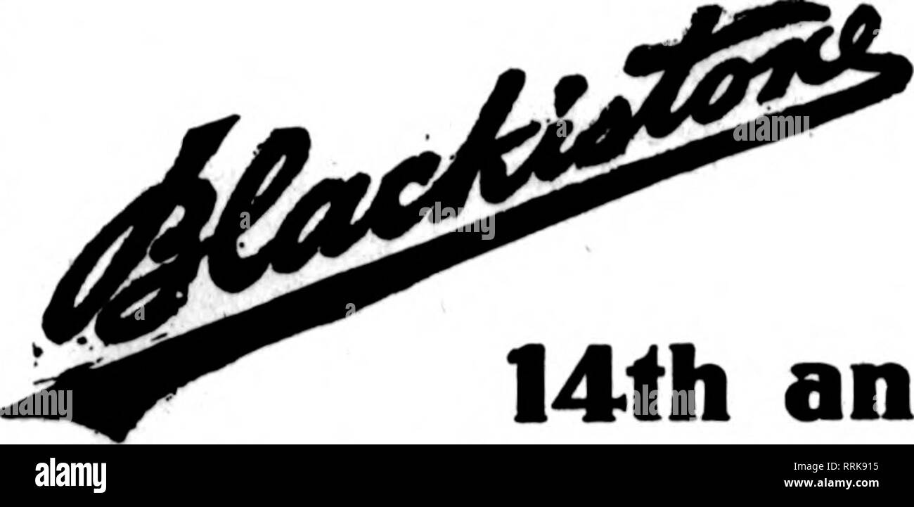 . Fioristi' review [microformati]. Floricoltura. Milwaukee, Wisconsin J. M. FOX &AMP; figlio 437-39-41 Mirwaukee Street membri fioristi' Telegrafo Associazione consegna KENOSHA, WIS. L. Turner a figli fioristi S8S Park Av"nu" Oroonbonsoat GonoTm Road membri Floriiti' Consegna del telegrafo au'b. LA CROSSE. WIS. Im B. BIE!TCALP Pvop". Per WISCONSIN deUvery dell '^Casa coltivati fiori" GET IN TOUCH CON J. E. MATTHEWSON SHEBOYGAN, WIS. Gli Stati fioristi' Consegna del telegrafo ass'n. Crf#ii Riiv Wis Neier-SdinederCi. UrCCUDdy,WI5.orf,",o,c"tFlowert e disegni dslivered ovunque in Wisoonsin e Michigan settentrionale un Foto Stock