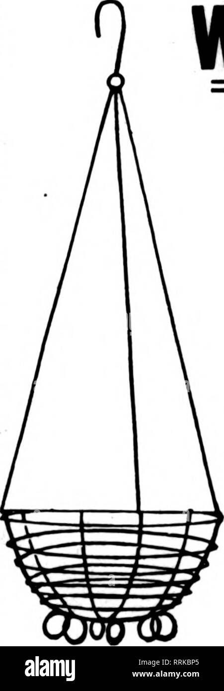 . Fioristi' review [microformati]. Floricoltura. Cestello in filo metallico e perché realizzato in filo zincato e crimpato. Una più stretta in presa per tenere moss migliore e meno di essa. Robusto e forte. Le dimensioni di ogni Doz. 8 pollici $0.26 12.50 10 pollici 30 3.00 12 pollici 86 3.50 14 pollici 40 4.26 16 pollici 60 6.00 18 pollici 60 6,26 lastra fresca Mom, sottili fogli di grandi dimensioni, $2.00 per sacchetto. Foglio tinto Moss, $3.50 per sacchetto. C. C. POLLWORTH CO. MILWAUKEE, WIS. :Lllllillilillllllllllllllllliillllillllllllllllllllllllllllllillllllillillllillllllllillillliilllllllllllli: FILO HAHGIH6 cestelli io facciamo i nostri panieri forte e consistente, = in modo non compa Foto Stock