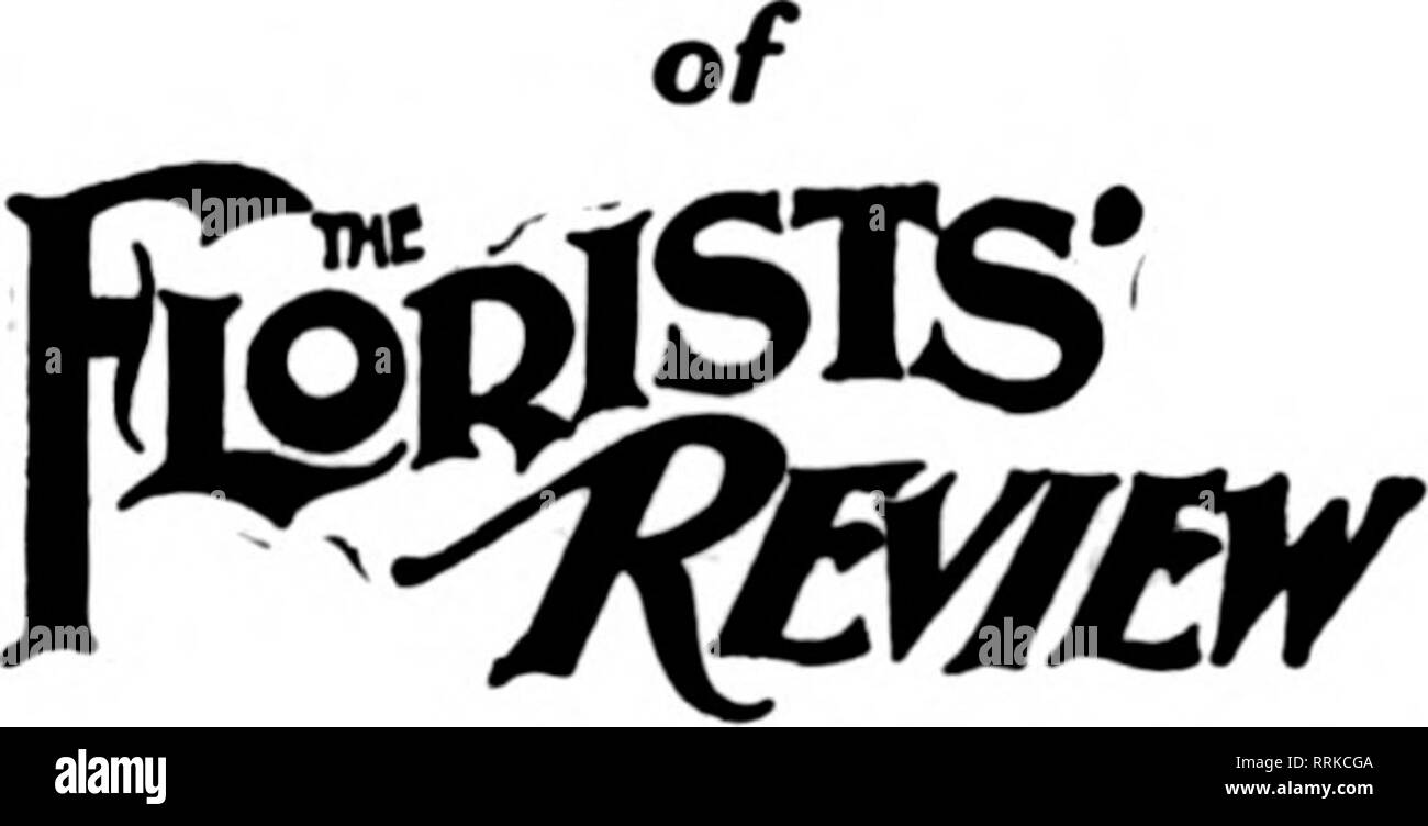 . Fioristi' review [microformati]. Floricoltura. /Rrs. B. 5. Setter fioraio "=^73' '^-v^ Route 4 BOX 4. n .k fioristi' Riesaminare, Chicago, 111. :"' &Lt;^ AUSTIN, Texas 3 luglio. 191 colleghi: - ^^^ racchiuso si prega di trovare verificare per il riesame per un anno come trovo che non posso fare a lungo senza di esso. Un fioraio amico mi ha consigliato di provare il IBHMHV m^i^p e ????? ????11 di quest'anno, ma trovo piuttosto vorrei avere una copia della revisione di otto delle altre due. Rispettosamente yoxirs. L annuale Convenzione speciale numero. Egli ha rilasciato 23 agosto esso conterrà una piena relazione telegrafico delle opere Foto Stock