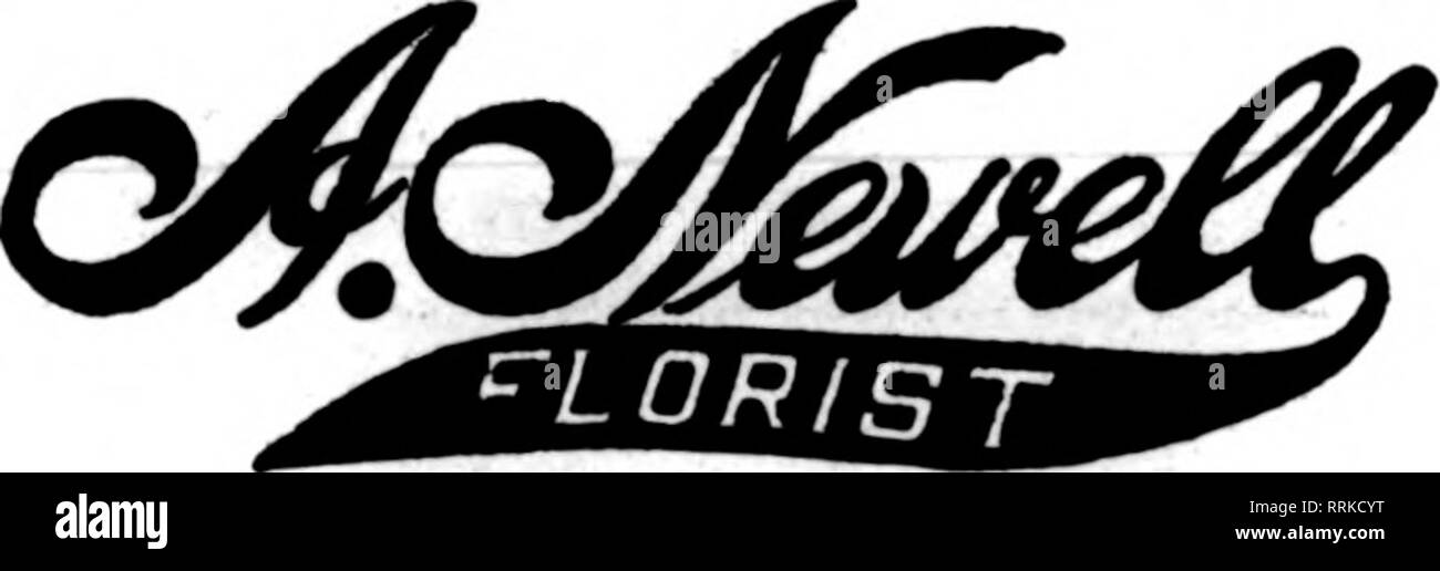 . Fioristi' review [microformati]. Floricoltura. Wisconsin e Michigan superiore invia la tua PASQUA ORDINI A MEIER-SCHROEDER Co., Green Bay, Wis ci prenderemo cura OP. ST. LOUIS, MO. GRIMM &AMP; GORLY che conduce in centro soci fioristi fioristi' Telegraph Yaiikton consegna"xffitchell,S.D. Cresciamo rosea, garofani e tutti seasonable fiori. Emblemi floreali che sono a destra. Dare OS i vostri ordini di nord-ovest. IGO-page catalogo. GDRNEYGREENHOUSE CONPANY '79kone 1367 ^ ci sforziamo TOTLEASE" 205 EWalnut San. Springfield. Ma i deputati F. T. D. ST. Giuseppe, MO. MITCHELL &AMP; QUENTIN ordini tor IOWA, NEB Foto Stock