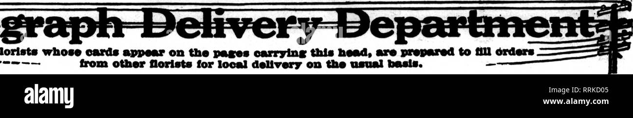 . Fioristi' review [microformati]. Floricoltura. I fioristi' Riesaminare Apbil 10, 1919. Th" fioristi il cui owrds avpMur su fbo p"cos cwrrylnc questo hmtd, mrm ..- da altri fioristi per consegna looel sulla solita base. Wisconsin e Michigan superiore invia la tua PASQUA ORDINI A MEIER-SCHROEDER Co., Green Bay, Wis ci prenderemo cura OP. ST. LOUIS, MO. GRIMM &AMP; GORLY che conduce in centro soci fioristi fioristi' Telegraph Yaiikton consegna"xffitchell,S.D. Cresciamo rosea, garofani e tutti seasonable fiori. Emblemi floreali che sono a destra. Dare OS i vostri ordini di nord-ovest. IGO-page catalogo. GDRNE Foto Stock