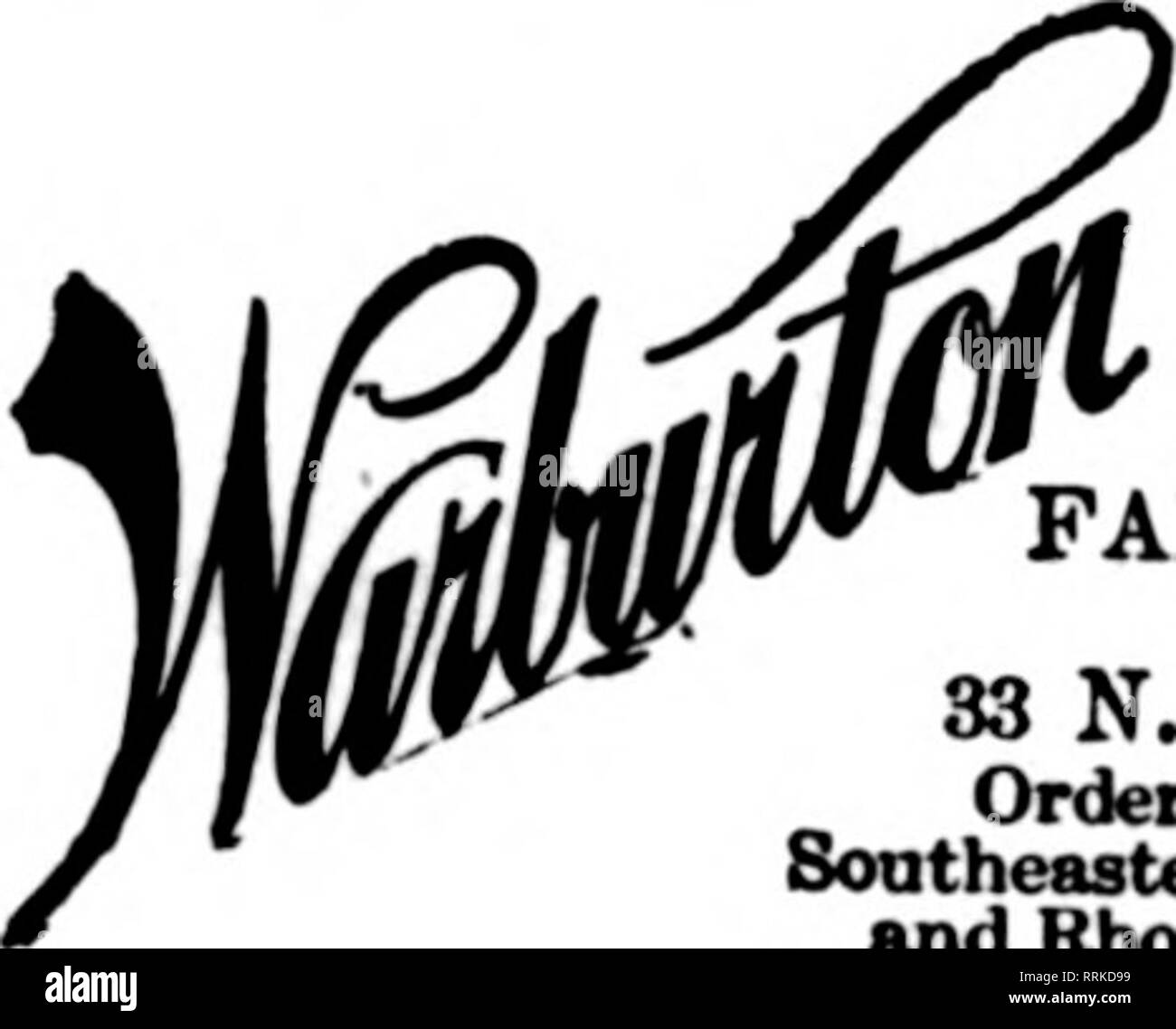 . Fioristi' review [microformati]. Floricoltura. Boston, Massachusetts 143 TREM0N1&GT; Street Situato Centralmente Fioraio il vostro per la reciprocità. Siamo in grado di coprire tutti i punti in nuovi membri Englandi fioristi' Telegraph consegna. Gli Stati F. T. D. Fall River. MASS. 33 N. Main Street gli ordini eseguiti per Southeastern messa.. Newport e Rbo<io ho.ie punti. Hartford, Connecticut. J. Albert Brodrib, ®*^iiau. street OeBTeries... La Nuova Bretagna, Meriden. Middletown. Maacfaeeter. BoclcviUe, Farmington. Elemento WiUimantie fioristi' Consegna Teleftraph Assoaation Boston, Mass. flENRY R. COMLEY. Fiorista. 6 Park Stree Foto Stock