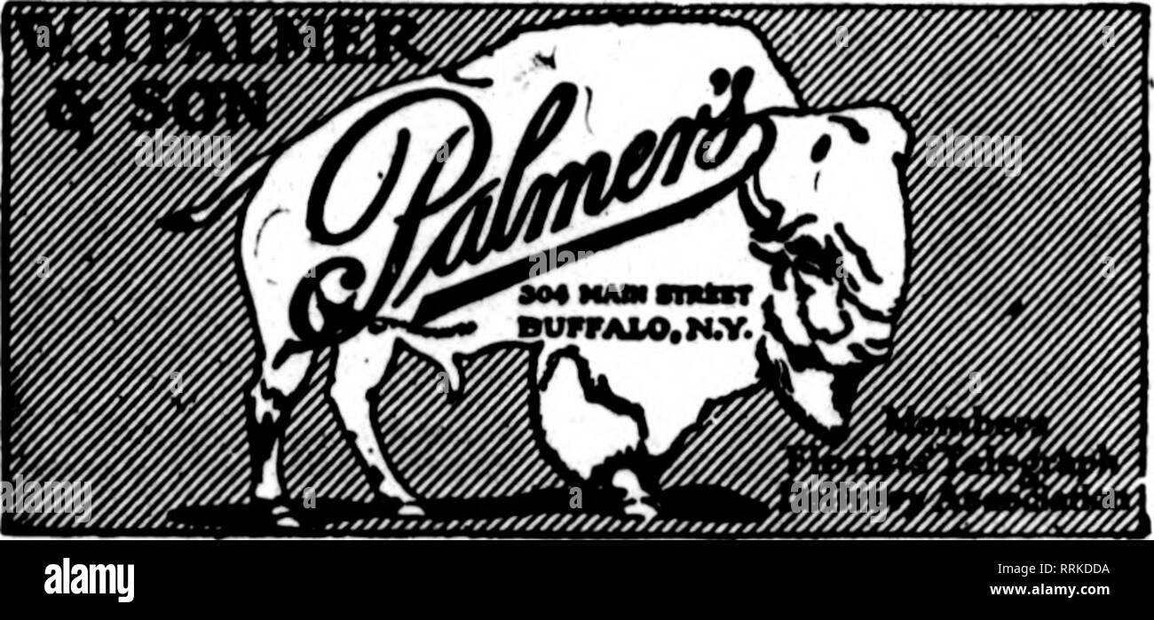 . Fioristi' review [microformati]. Floricoltura. Stroudsburg, Pa. Dover, N. J. Hackettstown, N. J. Store in ogni città. Fiori freschi dalle nostre serre. Consegna immediata tutte le Est della penna. e nord del New Jersey. Gli Stati fioristi' Telegraph flERRICK consegna, rinist Red Bank, N. J. W. W. KENNEDY &AMP; figli fioristi membri F, T. D. 41 BROAD STREET tutti medio Stato e Seashore NEW JERSEY punti e nordest della Pennsylvania città sono facilmente raggiungibile da TRENTON MAUTIN O. RIBSAM.FIorlet Stati F. T. D. Ampio e anteriore Sts. Hoboken, N. J. J. GRUUCH &AMP; Figli, 616 Washington St Jersey City Ba Foto Stock