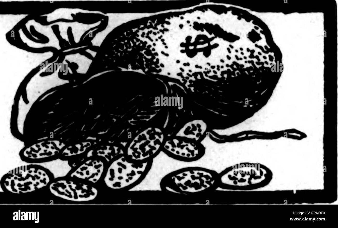 . Fioristi' review [microformati]. Floricoltura. Ha voluto e per la vendita lepartment ??^pubblicità ai sensi del presente capo ItVt centesimi per contanti Unej wltli ordine da tutti coloro che non fanno le altre pubblicità:. In invio di conteggio di rimessa sei parole per la linea. Visualizzare annunci pubblicitari in questo reparto fl.60 net, per uno spazio di pollice. Quando le risposte devono essere inviate a nostra cura, aggiungere dieci centesimi per inoltro. Impianti pubblicitari non ammesso sotto il tallone. Situazione voleva-da-flrst classe serra giapponese uomo e paesaggio giardiniere; 15 anni di esperienza; aspettarsi buoni stipendi. Indirizzo S. K., 747 E. 36th St., Chicago. 8i Foto Stock