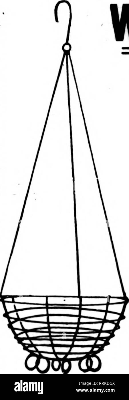 . Fioristi' review [microformati]. Floricoltura. Cestello in filo metallico e perché realizzato in filo zincato e crimpato. Una più stretta in presa per tenere moss migliore e meno di essa. Robusto e forte. Le dimensioni di ogni Doz. 8 pollici $0.26 $2.50 10 pollici 30 3.00 12 pollici 35 3,60 14 pollici 40 4.26 16 pollici 50 5.00 18 pollici 60 6,26 lastra fresca Moss, sottili fogli di grandi dimensioni, $2.00 per sacchetto. Foglio tinto Moss, $3.50 per sacchetto. C. C. POLLWORTH CO. MILWAUKEE. WIS. Fammw Damom Prezzo speciale su ordini iflllCV l6rflS di 5000 o più. " " ./ Scrivere per i prezzi. N. M. HITCHCOCK, - DowaKiac, Mich :!Lillllllllllllllllllllllllllllllllllllllllllllllllllllllll Foto Stock