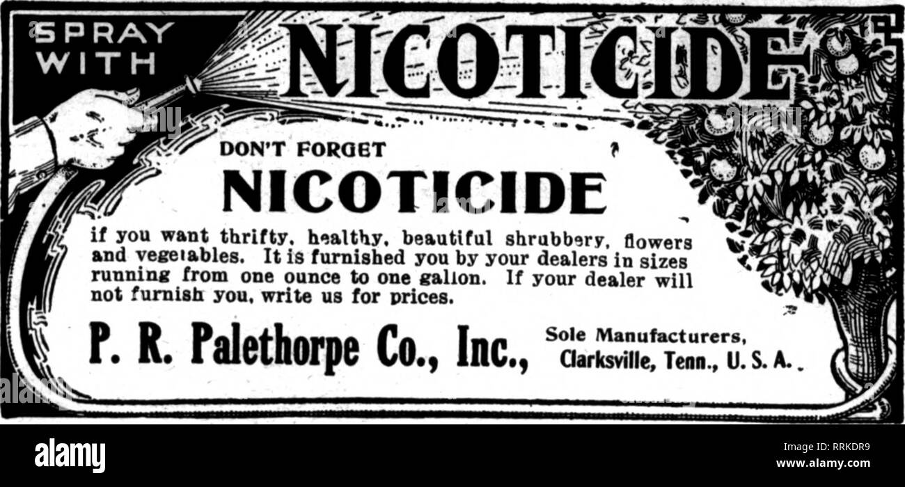 . Fioristi' review [microformati]. Floricoltura. Menzionare il riesame quando si atto di citazione*. Nannhctnnd dalla nicotina NTG. COMPANY, 117 N. Nain ST, ST. LOUIS, U. S. A. menzionare il Rerlew quando yon scrivere. SPRAY CON. ••C NON DIMENTICARE NICOTICIDE se vuoi parsimonioso. h&LT;!althy. Splendidi arbusti, Howers W e yegetables. È arredato con il vostro dealer in dimensioni •jMM..--..-ui.^.i. Si prega di notare che queste immagini vengono estratte dalla pagina sottoposta a scansione di immagini che possono essere state migliorate digitalmente per la leggibilità - Colorazione e aspetto di queste illustrazioni potrebbero non perfettamente assomigliano al lavoro originale. Chicag Foto Stock