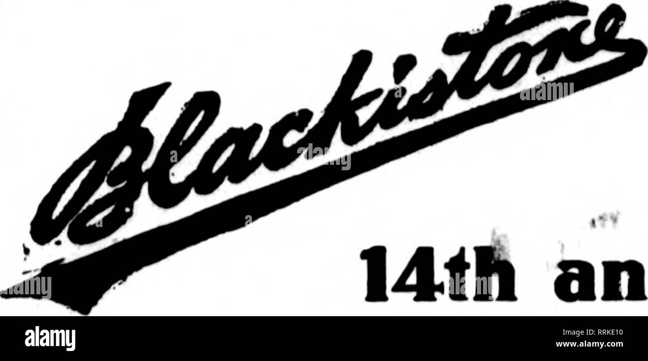 . Fioristi' review [microformati]. Floricoltura. Milwaukee, Wisconsin J. M. FOX &AMP; figlio 437-39-41 Milwaukee Street membri fioristi' Telegrafo Associazione consegna KENOSHA, WIS. L. Turner a figli fioristi S82 Park Avonu* Ctroonliouass, GonsTa ItmuA membri Florigta' Telegraph de|iT&GT;nr Am'". LA CROSSE. WIS. L. B. MBTCALF, Prop. Per la consegna del Wisconsin di , "Casa coltivati fiori" GET IN TOUCH CON J, E. MATTHEWSON SHEBOYGAN, WIS. Gli Stati fioristi' Consegna del telegrafo ass'n. La Cvp^n Rflv Wic Neier-SchnederCi. ftnd DflBiffus consegnati in Wisconsin ftad Michigan settentrionale al prezzo giusto^ La Foto Stock