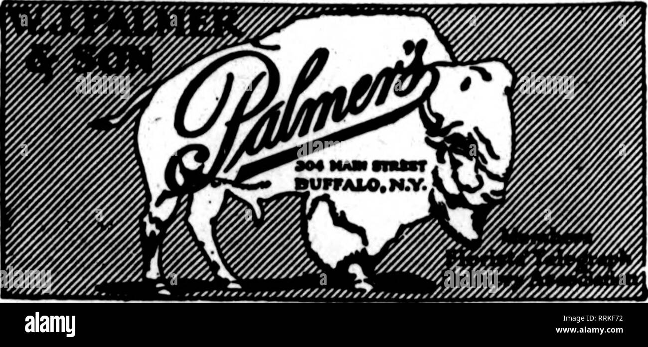 . Fioristi' review [microformati]. Floricoltura. Stroudsburg, Pa. Dover, N. J. Hackettstown, N. J. Store in ogni towa. Fiori freschi dalle nostre serre. Consegna immediata tutte le Est della penna. e nord del New Jersey. HTBDirV riomof stati fioristi' niJUUta, riBriSl consegna Telesrraph Red Bank, N. J. W. W. KENNEDY &AMP; figli fioristi membri F. T. D. 41 BROAD STREET tutti medio Stato e Seashore NEW JERSEY punti e nordest della Pennsylvania città sono facilmente raggiungibile da TRENTON MARTIN C. RIBSAM. Fioraio Stati F. T. D. Ampio e anteriore .Sts. Hoboken, N. J. J. GRUUCH &AMP; figli. 616 Washington Foto Stock