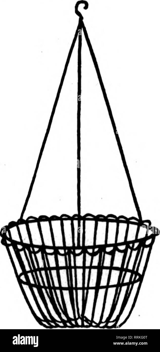 . Fioristi' review [microformati]. Floricoltura. No. 1 Dimensioni per 100 10 pollici $14.00 12 pollici..... 16.2"&GT; 14 pollici 23.00 16 pollici 26.00 solo per chiedere i nostri prezzi sul filo disegni. No. 2 Dimensioni per 100 10 pollici $16.26 12 pollici 20.00 14 pollici 26.00 16 pollici 31.00 B. E. E J. T. COKELY tutto fioristi' fornisce. 201 North Seventh Avenue* stabilito 22 anni SCRANTON, PA. Menzionare il riesame quando scrivi. Verde muschio registro fogli lunghi - SCELTA EXTRA QUALITY- Bright Green-naturale di aria secca-grandi borse BLUERIOGE MOUNTAIN MOSS Ordine questa qualità per i cestelli appesi prezzo per H&amp;g, $2.00 SPHAGNU Foto Stock