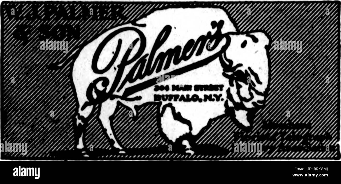 . Fioristi' review [microformati]. Floricoltura. Stroudsburg, Pa. Dover, N. J. Hackettstown, N. J. Store in ogni città. Fiori freschi dalle nostre serre. Consegna immediata tutte le Est della penna. e nord del New Jersey. Gli Stati fioristi' Consegna Telecrraph HERRICK, nirist Red Bank, N. J. W. W. KENNEDY &AMP; figli fioristi membri F. T. D. 41 BROAD STREET tutti medio Stato e Seashore NEW JERSEY punti e nordest della Pennsylvania città sono facilmente raggiungibile da TRENTON MARTIN O. RIBSAM. Fioraio Stati F. T. D. Ampio e anteriore Sts. Hoboken, N. J. IGRUUCH &AMP; Figli, 616 WidunsttB St -- DXUVZBIXS PER Foto Stock