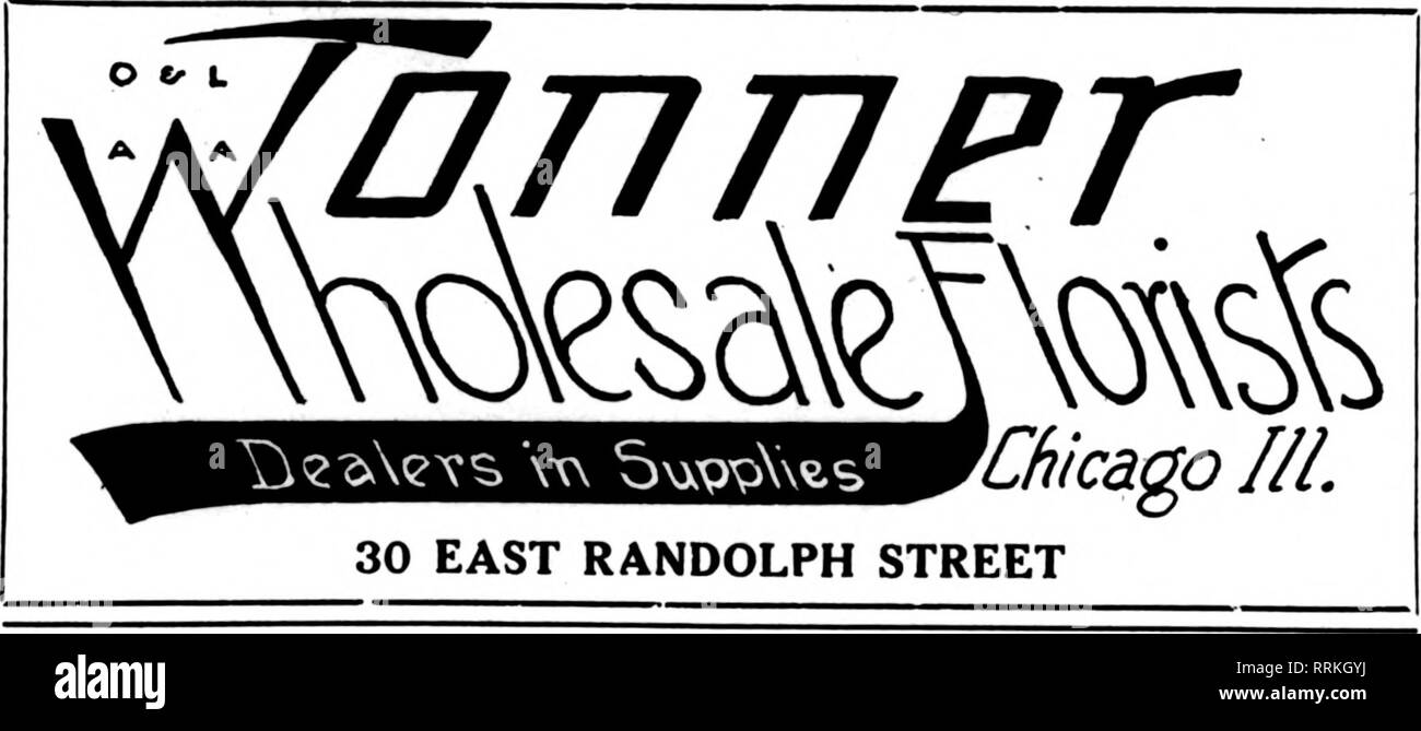 . Fioristi' review [microformati]. Floricoltura. Principali Varietà utilizzare la nostra doppia bianca Killarney. Il solo bianco Killarney che rimane "mentre" durante i caldi mesi estivi-una volta usedt vorrete non altri. "Re in I^^od amqiiyt wifii inieeB ^e^Mnabie Valley per il tuo giugno matrimoni. Le peonie, 50e, 60e. 75g jmd $1.00 per dozzina. ?I^^^^ 1717D I^C ^® b^^B con un sacco di ottimi hardy felci di offrire, ? W^W riLIl^i9 $6.00 per 1000; caso partite di 6000,|5jOO per 1000. Leucothoc, 75c per 100; $6.00 per 1000. ^Galax, 25c per 100; $2.00 per 1000. Ckoic* Stock di lupini. Poaa Swoot. Poonios, tulipani, scorte, Foto Stock