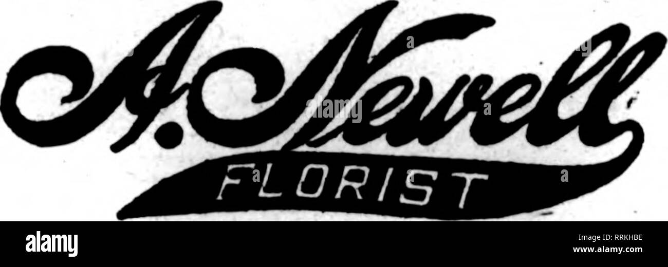 . Fioristi' review [microformati]. Floricoltura. KANSAS CITY, {^ MISSOURI ST. Giuseppe, MO. MITCHELL &AMP; QUENTIN Ordtn tut Iowa. HSRBASEA. KAHBAS MSB HUIOITBI SEZIONE ESTERA Liverpool, in Inghilterra DINGLEYS, Ltd., Fiorai Sheffield, Inghilterra WM. ARTINDALE &AMP; FIGLIO FIORISTI SEEDSMEN VIVAISTI Manchester, Inghilterra DINGLEYS. Ltd., fioristi la prossima settimana. Signore &AMP; Burnham Co. ha recentemente ottenuto un altro contratto per un 650-piedi casa da questa impresa, in aggiunta a quello dato loro in primavera, e k è sperato che tutti e tre saranno in uso essere- fore tempo freddo. La querela portata da A. A. Elliott contro Foto Stock