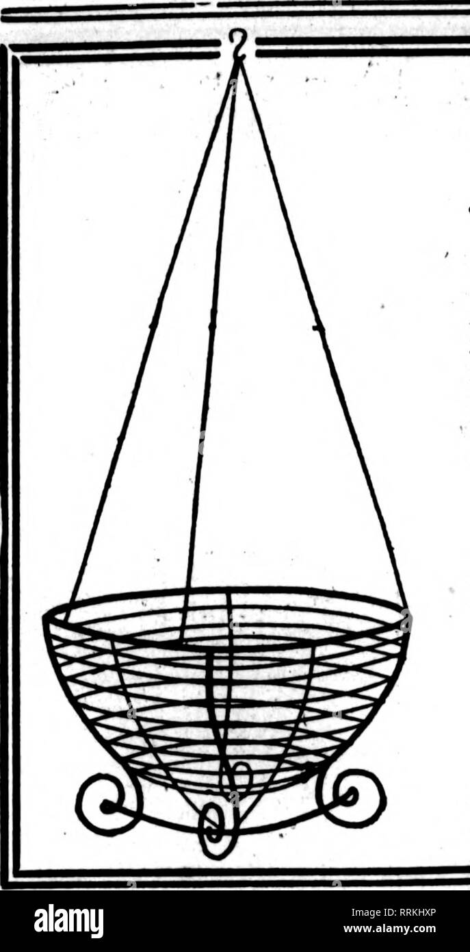 . Fioristi' review [microformati]. Floricoltura. Mabgb 18, 1919. I fioristi^ Rassegna 89. Filo nei cestini appesi non è dei più economici ma il miglior W"ll fatto tipo. Verniciato, legato con Qaivanized;Wlre Ifper 100, $15.00 17.00 21.00 26.00 32.50 46.00 6 alla dozzina di tasso, 50 al tasso lOO S pollici ' per dozzina, $2.00 10 pollici " 2,50 12 pollici " 3.00; 14 pollici " 4.00 16 pollici " 5.00; 18 pollici " 6.00 Prezzi su dimensioni maggiori nei cestini appesi quotata in applicazione. Foglio VERDE MUSCHIO "&GT;"rSR"K"r..&amp;S'SSK.T. Per Fascio di $ 1,50 10 fasci $13.50 per sacchetto $2.00, $2.50 ^. Prezzi su larg Foto Stock