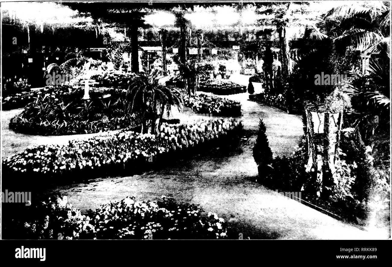 . Fioristi' review [microformati]. Floricoltura. Makch 22, 1917. I fioristi"Review 41. Una vista generale del grande successo la molla Flower Show a St. Louis. Piante wldch sono state in banchi fino allo scorso autunno avrà ben esaurito il terreno adesso, per dare loro un telone di concime di pecora o ben vacca decaduto ma- Nure. Questo aiuterà a tenere i banchi di essiccare rapidamente, nonché stimolare le piante. Snap- draghi ora trasportare un abbondanza di Nizza, talee tozzo. Togliere e propagare un buon lotto di questi; faranno vendibile piante per biancheria da letto in maggio. Molte persone non una mezza Foto Stock