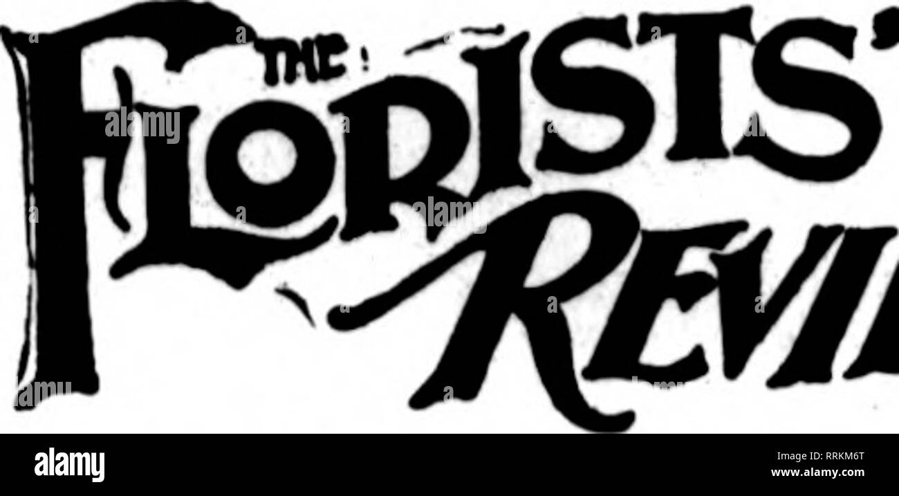 . Fioristi' review [microformati]. Floricoltura. I fioristi' Revisione Luglio 26, 1917 Callahan, M. J 43 Callahan Duo- anta vetrata in modo Carbonc, Philip L.. 39 Supporto di garofano. 96 Carolina Fir. Store. 45 CnrroU, M. M 56 Cass, W. &AMP; T 40 Cliapin Bros 47 Charleston tagliare Flo. 45 Chatham Floral Co. 40 Chicago Feed &AMP; fertilizzante Co. ... 58 Chicago Flower Growers' Assn.... 25 Chicago stringa stampata Co 28 Childs, John Lewis 57 Cbipman Chemical Eng. Corp 96 Cincinnati fiori recisi di Exchange. 60 Clart£, G. R 43 Clark seme Co 50 Clarke Bros 47 Clarke's figli 41 classificati Advs. ... 84 Cleveland fioristi' Exc Foto Stock