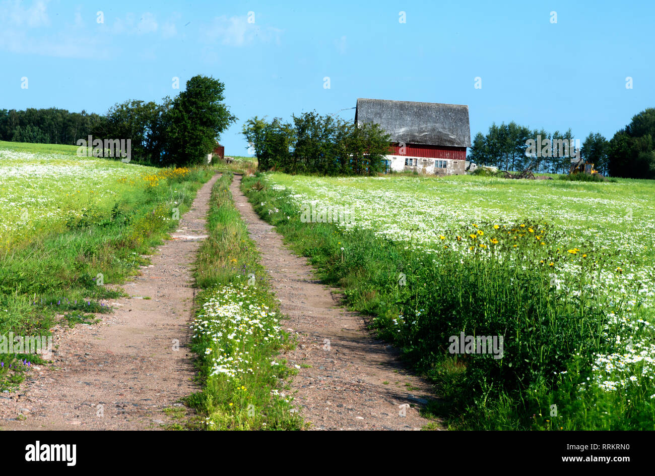 Scandinavo, Nord Europa, paese, Unione europea, popoli preistorici, agricole, foreste, costituzionali, monarchia parlamentare, democr Foto Stock