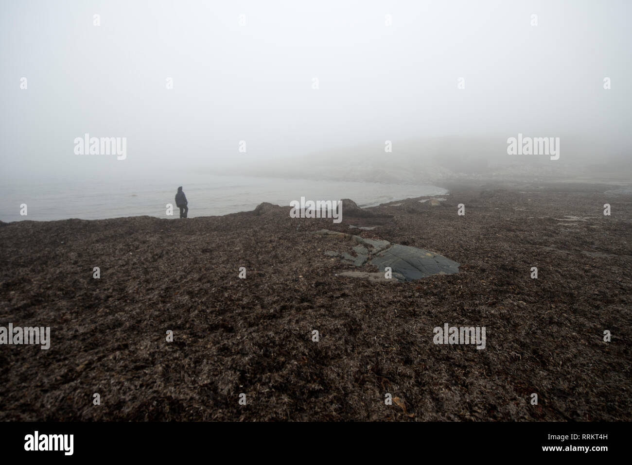 La natura nel senso più ampio del termine, è il naturale, fisica o il mondo materiale o universo. " Natura " possono fare riferimento ai fenomeni del mondo fisico e Foto Stock
