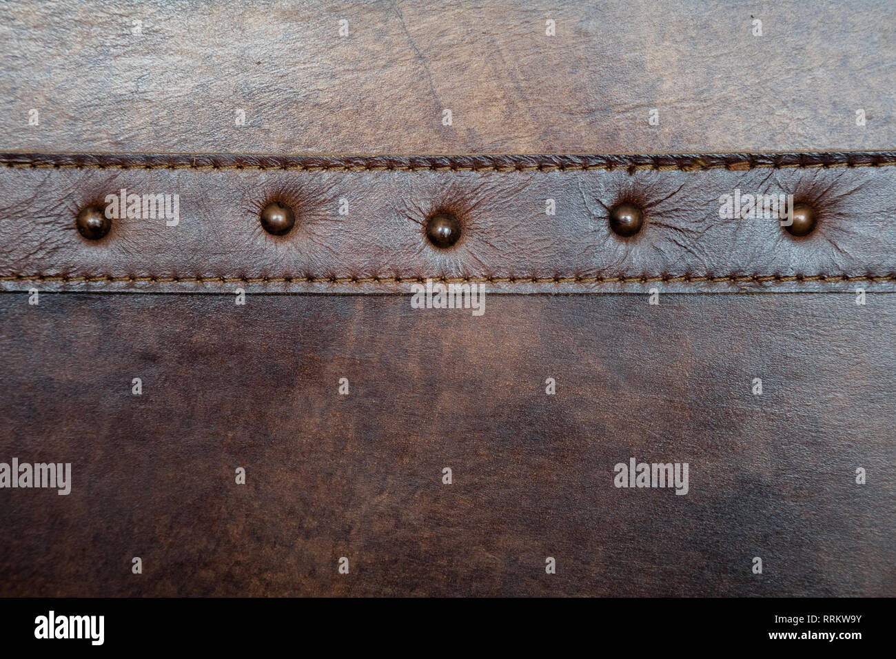 La pelle con il rivetto sfondo texture close up Foto Stock