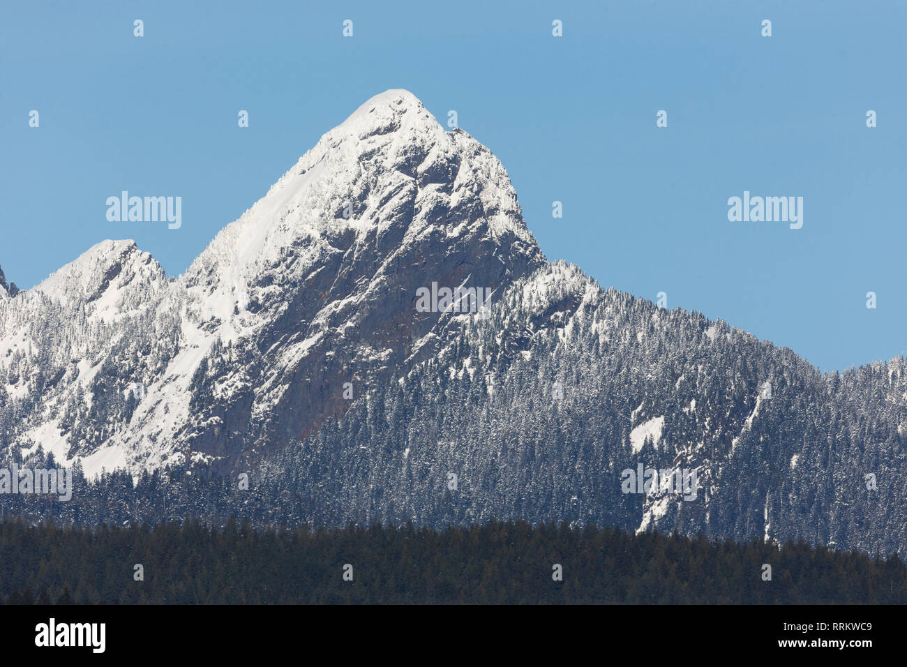 Vista di Golden Ears montagna da Pitt Prati, BC Canada Foto Stock