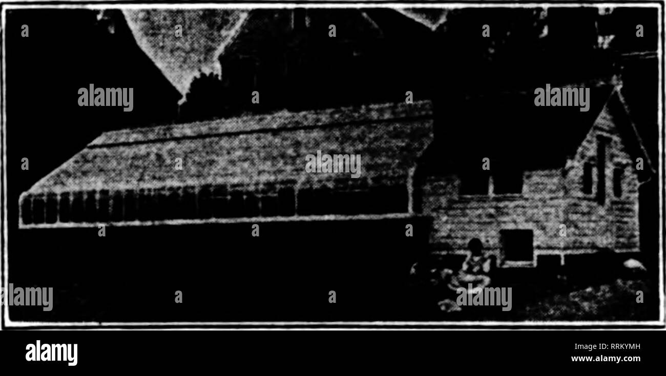 . Fioristi' review [microformati]. Floricoltura. Case efficiente più attenti e prudenti i coltivatori in tutti gli Stati Uniti identif- nize i meriti della nostra costruzione. È il metodo che dà è durevole, case moderne. Le migliori attrezzature e dispositivi salva-lavoro, combinata con una rigorosa economia, ci permettono di citare i prezzi più bassi per il bebt materiali. Scrivere per i nostri schizzi e stime. Ordinare ciò di cui avete bisogno, sia per le operazioni di riparazione o di nuove case. Materiale a effetto serra HARDWARE FOCOLAIO ANTA ICKES-BRAUN MILL CO. 2330 WABANSIA AVENUE, (vicino occidentale e nord Aves.) CHICAGO, ill. Menzionare Th Foto Stock