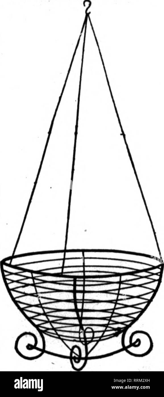 . Fioristi' review [microformati]. Floricoltura. Janoabt 27, 1916. I fioristi' Riesaminare il filo nei cestini appesi. Fatto bene la natura dipinta, legate con filo zincato 6 af dozzina di tasso, 50 al tasso lOO 8 pollici. per dozzina, $1.25 10 pollici. 12 pollici. 14 pollici. 16 pollici. 18 pollici. lozen, $1.25; per 100, $ 7.00 1.50; 9.00 1.75; 11.00 2.25; 15.00 3.25; 21.00 4.50; 27.50 Prezzi su dimensioni maggiori nei cestini appesi quotata in applicazione. Scrivere per il listino prezzi di filo disegni floreali. Foglio VERDE MUSCHIO """ioVVS.iAV&amp;s^s Per fascio...$1.00 5 pacchetti. ...$4,75 10 fasci... .$9.00 25 fasci $21.00 Prezzi su larg Foto Stock