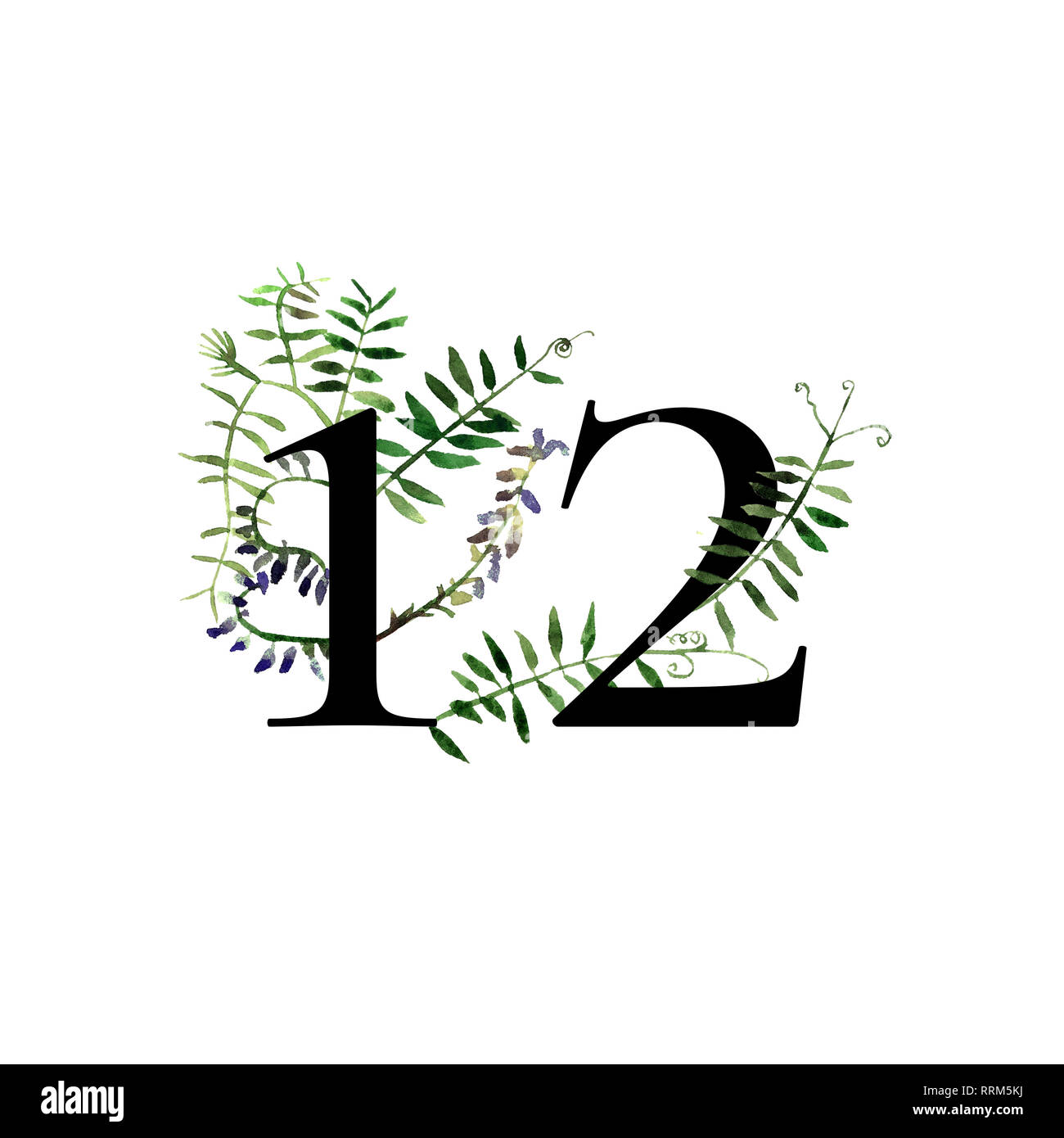 Elegante postcarg e modello di invito con acquarello selvatici fiori di prato tufted vetch per il design. Foto Stock