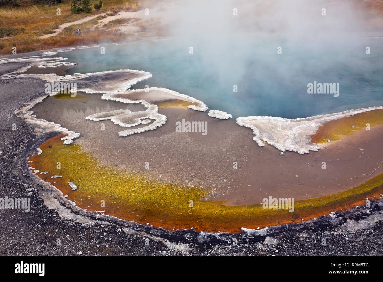 WY03838-00...WYOMING - Columbia e la molla con una colorata area di cianobatteri refilato con forme fantasiose del bulbo formazioni agglomerato lungo la sh Foto Stock