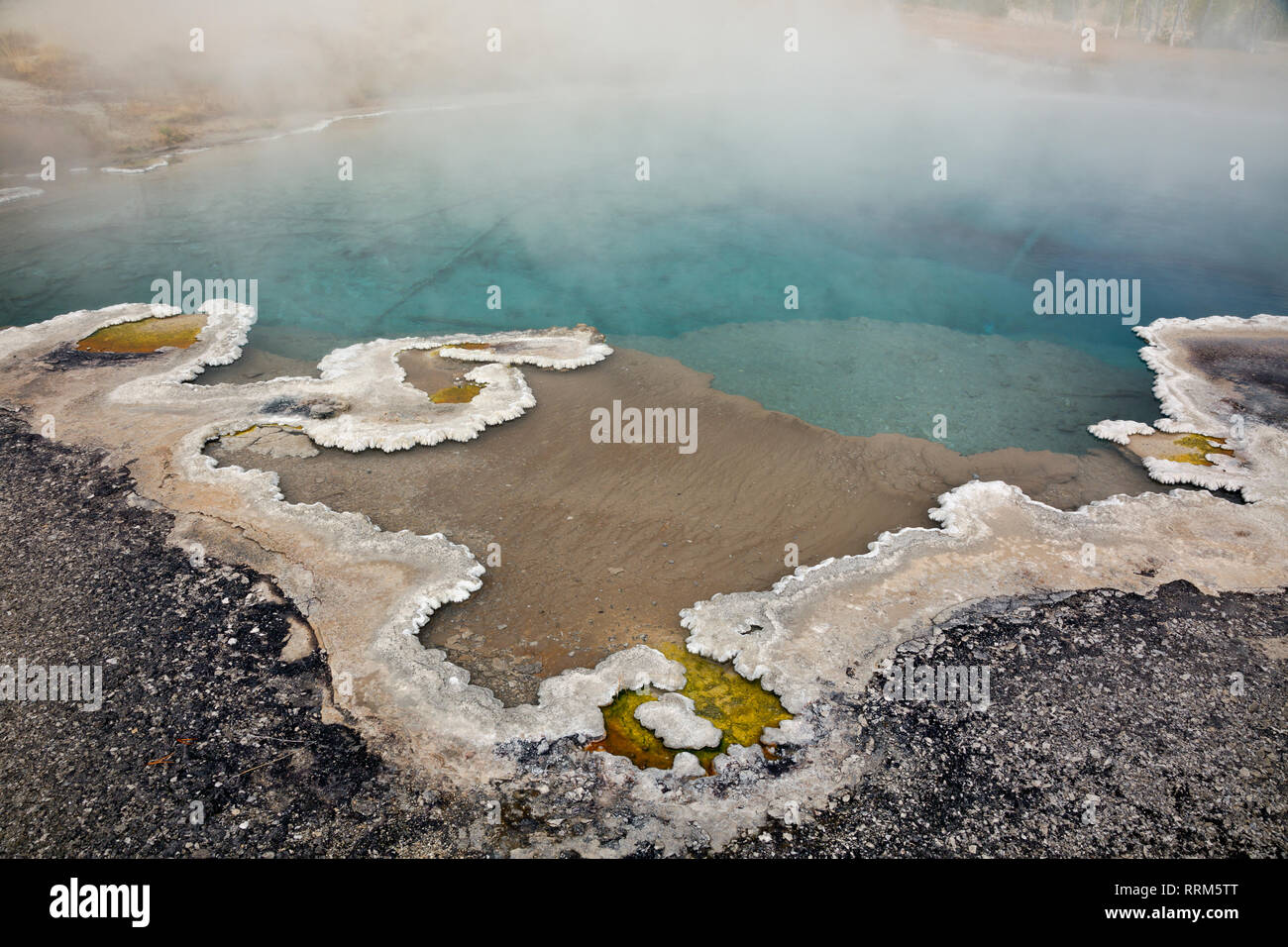 WY03839-00...WYOMING - Columbia molla con un delicato confine del bulbo e agglomerato cianobatteri a cuore il lago di Geyser Basin in Yellowstone National P Foto Stock