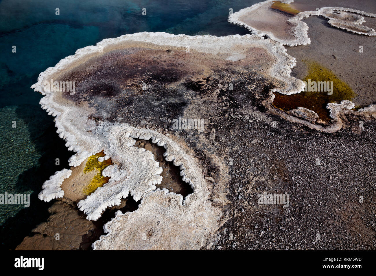 WY03841-00...WYOMING - Columbia molla con un delicato confine del bulbo e agglomerato cianobatteri a cuore il lago di Geyser Basin in Yellowstone National P Foto Stock