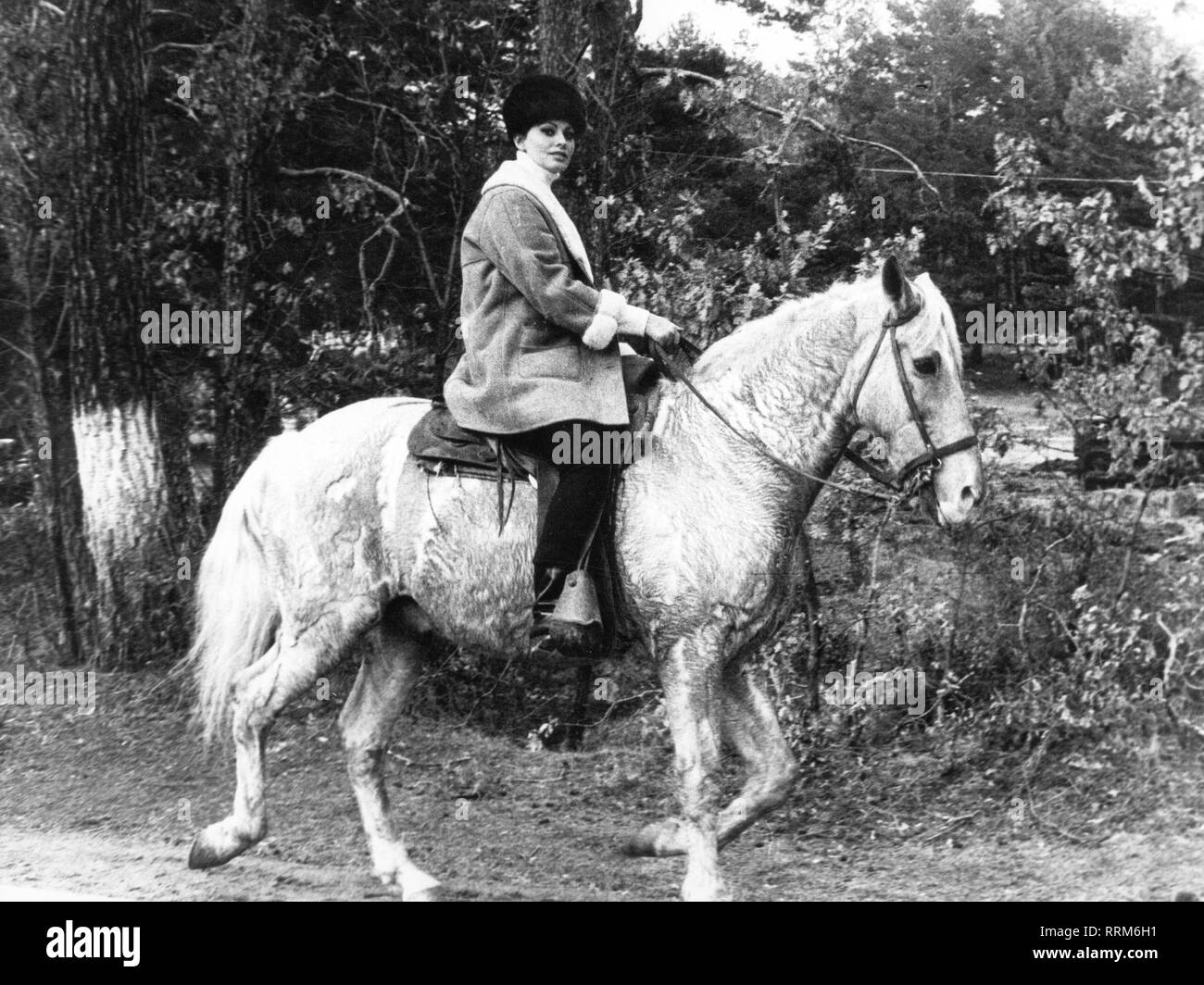 Loren, Sophia, * 20.9.1934, l'attrice italiana a piena lunghezza, equitazione, sessanta, Additional-Rights-Clearance-Info-Not-Available Foto Stock