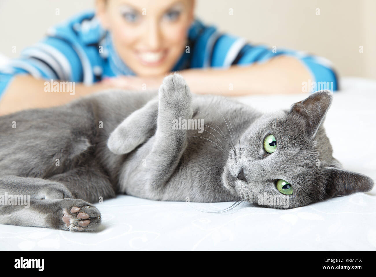 Cat coccole in ambienti chiusi e donna sorridente. Profondità di campo Foto Stock