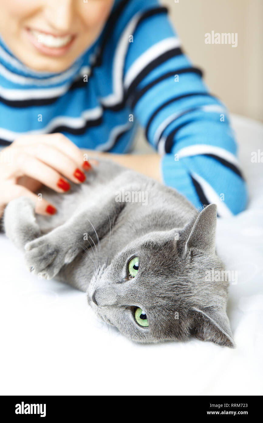 Cat coccole in ambienti chiusi e donna sorridente. Profondità di campo Foto Stock