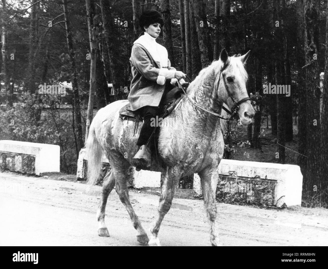 Loren, Sophia, * 20.9.1934, l'attrice italiana a piena lunghezza, equitazione, sessanta, Additional-Rights-Clearance-Info-Not-Available Foto Stock