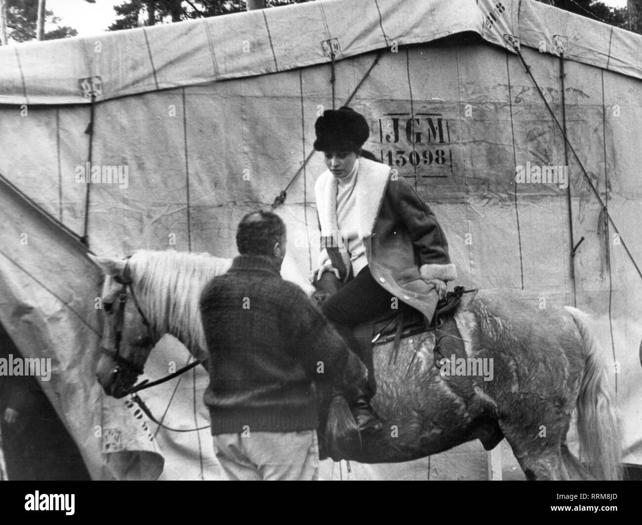 Loren, Sophia, * 20.9.1934, l'attrice italiana e mezza lunghezza, equitazione, sessanta, Additional-Rights-Clearance-Info-Not-Available Foto Stock