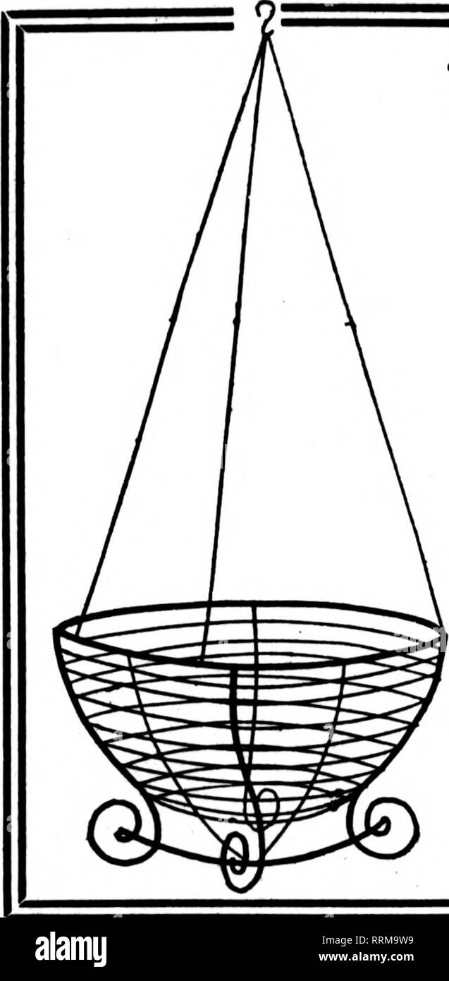 . Fioristi' review [microformati]. Floricoltura. Aprile 26, 1917. I fioristi' Riesaminare 41. Filo nei cestini appesi non è dei più economici ma il miglior fatto bene la natura dipinta, legate con filo zincato 6 alla dozzina di tasso, 50 a 100 rate di 8 pollici per dozzina, $1.25; 10 pollici, 12 pollici, 14 pollici, 16 pollici, 18-jnch dozzina, $1.25; per 100, $ 8.00 1.50; 10.00 1.76; 12.00 2.25; 3.60 16.00; 22.00 5.00; 35.00 foglio verde muschio verde lungo i fogli per appendere cesti per fascio... $1.00 5 fasci.. .$4,75 10 fasci.. .$9.00 25 fasci.. .$21.00 C. E. CRITCHELL Whileiale Cnmumn Tbfmt 15 EAST THIRO ST. Di CINCINNATI. 0. Menzionare il Foto Stock