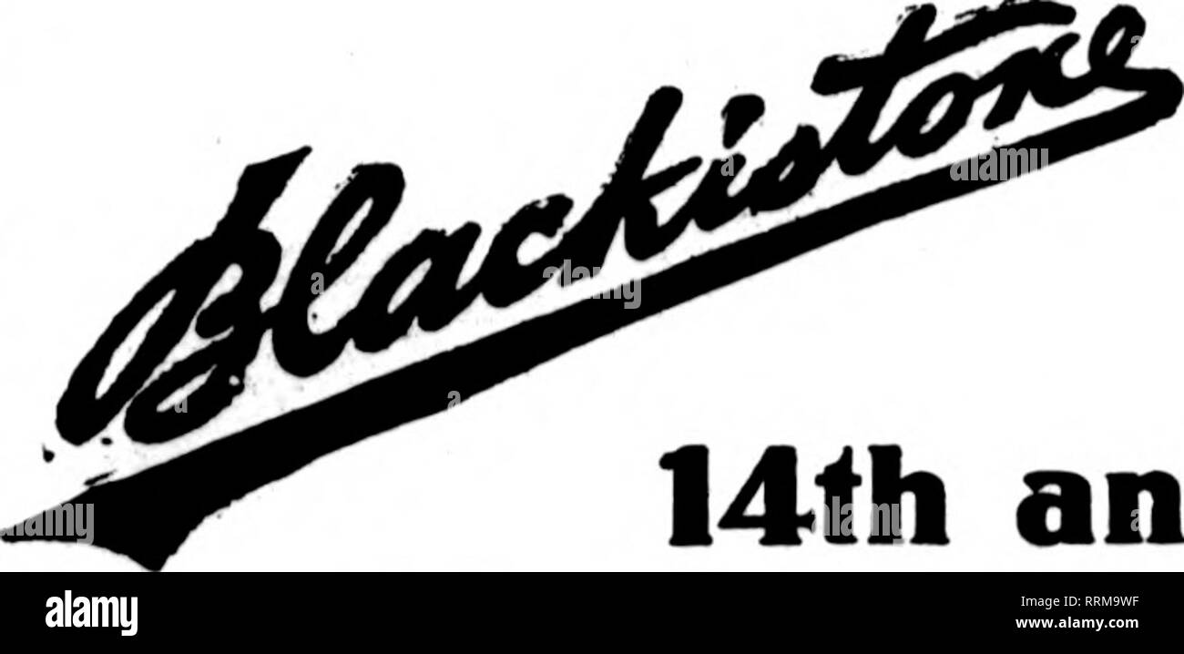 . Fioristi' review [microformati]. Floricoltura. Milwaukee, Wisconsin J. M. FOX &AMP; figlio 437-39-41 Milwaukee Dich membri fioristi' Telecraph Associazione consegna KENOSHA, WIS. L* Turner &AMP; figli fioristi 382 Park Avenue Grsenhouses, Gsno'ra Road membri fioristi' consegna TelegTaph ass'a Lil CROSSE. WIS. L. E. MBTCALF, Prop. Per WISCONSIN d"llv"ry off ''casa coltivati fiori'^ GKT IN CONTATTO CON Je E. MATTHEWSON SHEBOYGAN, WIS. Gli Stati fioristi' Telegraph Asi di consegna a ArMnRiiv Wic Neier-SchnederCo. UI ecu va y 9 n 19* q^^^^ ^^j. q^^ piowers e disegni consegnati in Wisconsin settentrionale e Mic Foto Stock