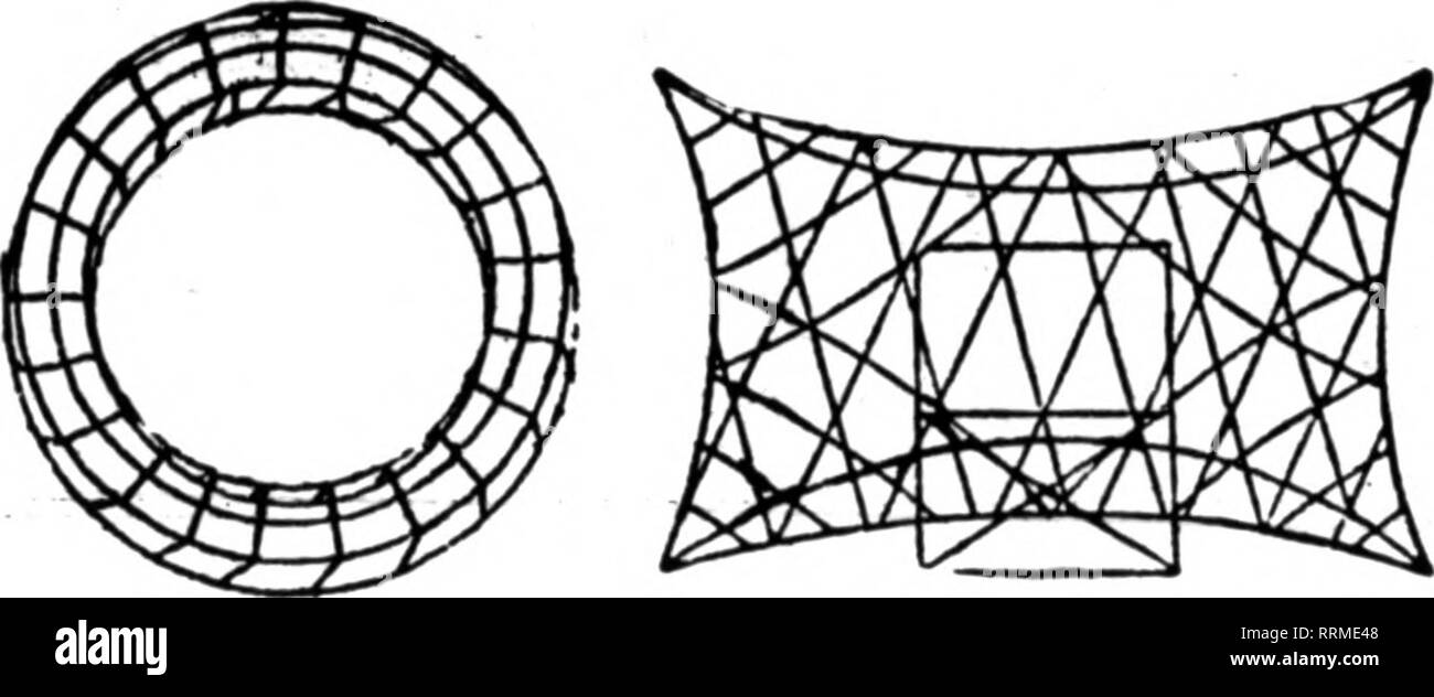 . Fioristi' review [microformati]. Floricoltura. Filo nei cestini appesi non THK CHKAPKST MA BIST THK 1h" W"ll Mad* Tipo. Verniciato, legato con Qalvanlzad WIra. 6 a dozan rata, 50 a 100 rata di 8 pollici per dozzina, $1.25; 10 pollici 12 pollici... i 14 pollici, 16 pollici, 18 pollici dozzina, $1.25; per 100. $ 7.00 1.50; 9.00 1.76; 11.00 2.25; 15.00 3.00; 20.00 4.00; 25.00 Prezzi su dimensioni maggiori nei cestini appesi quotata in applicazione. Scrivere per il listino prezzi di filo disegni floreali. Foglio VERDE MUSCHIO """i^J^"I&amp;rBsK^s Per fascio.... $1.00 5 fasci... .$4,75 10 fasci.... $9.00 25 fasci., ,.$21.00 prezzi sui più grandi Foto Stock