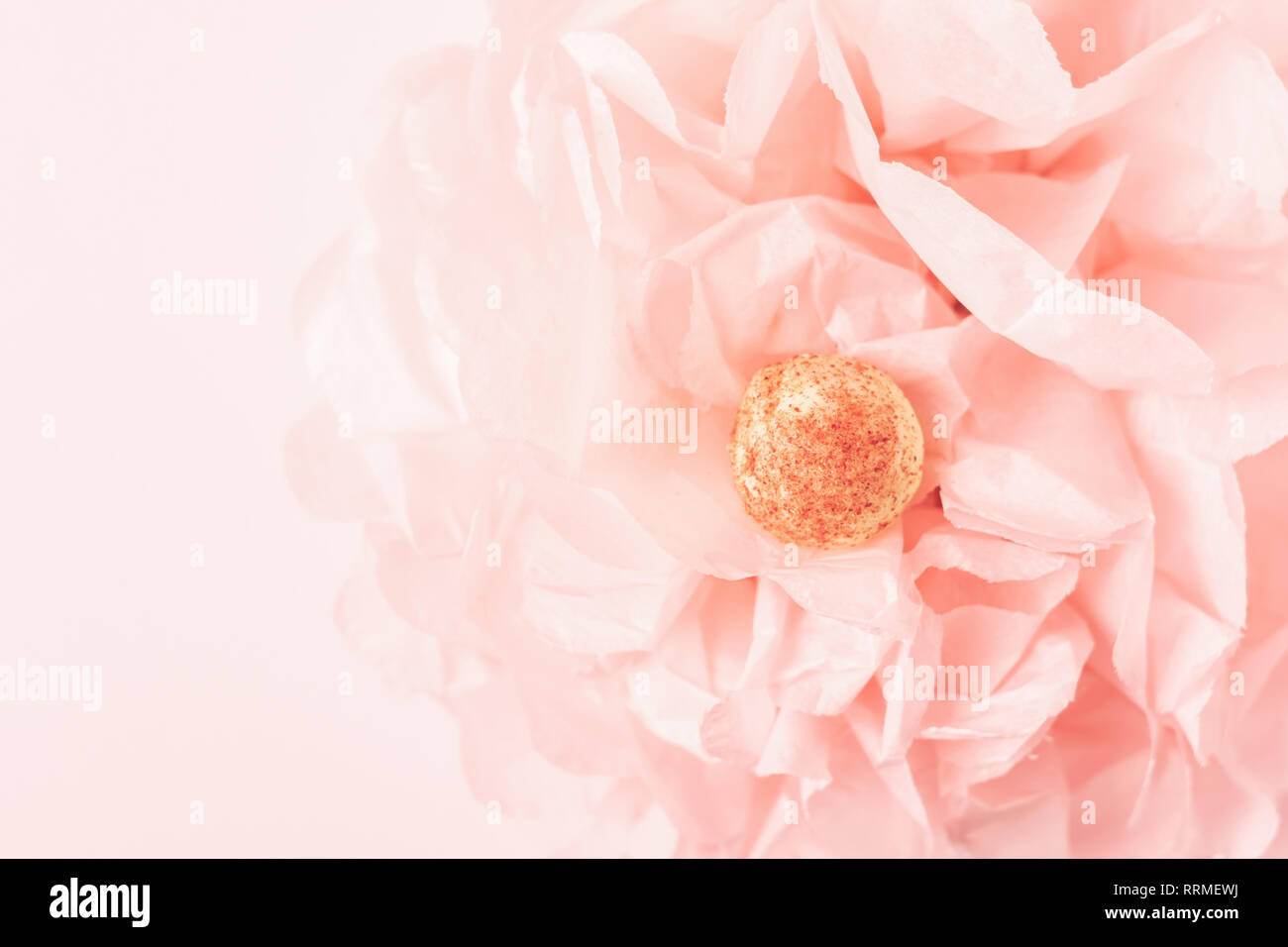 Il cioccolato bianco round candy su un delicato corallo rosa sfondo nella forma di un fiore di carta. Copia dello spazio. Schema piatto. Foto Stock