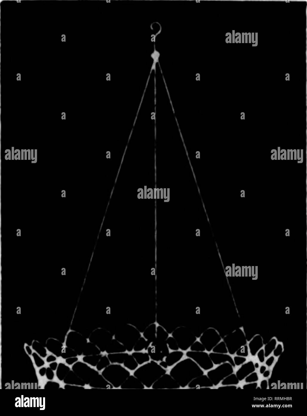 . Fioristi' review [microformati]. Floricoltura. Filo nei cestini appesi non è dei più economici ma il miglior fatto bene la natura. Dipinto, Legato witli Gaivanized filo 6 alla dozzina di tasso, così al tasso di 100 S-pollice per dozzina, $2.00 10 pollici " 2,50 12-iDch " 3,00 U pollici •' 4.00 16 pollici " 5.00 18 pollici •• 6.00 Prezzi su dimensioni maggiori nei cestini appesi quotata in applicazione per 100, $15.00 17.00 21.00 25.00 32.50 45.00 foglio VERDE MUSCHIO ""S"U&amp;^IK.t. Per Fascio di $ 1,50 10 fasci $13.50 per sacchetto $2.00 prezzi su grandi quantitativi citati sull'applicazione. Gli ordini di parti sconosciute devono essere accompagnati w Foto Stock