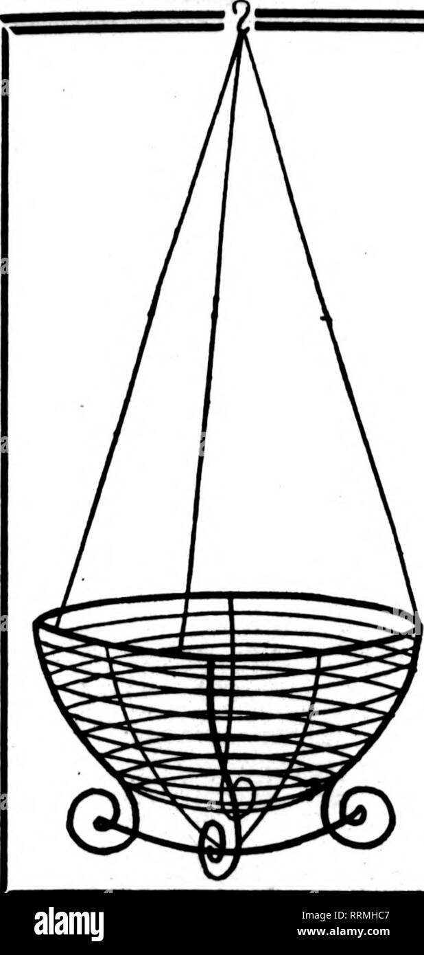 . Fioristi' review [microformati]. Floricoltura. 6 marzo 1919 i fioristi^ Rassegna 41. Filo nei cestini appesi non è dei più economici ma il miglior fatto bene la natura. Dipinto, Legato witli Gaivanized filo 6 alla dozzina di tasso, così al tasso di 100 S-pollice per dozzina, $2.00 10 pollici " 2,50 12-iDch " 3,00 U pollici •' 4.00 16 pollici " 5.00 18 pollici •• 6.00 Prezzi su dimensioni maggiori nei cestini appesi quotata in applicazione per 100, $15.00 17.00 21.00 25.00 32.50 45.00 foglio VERDE MUSCHIO ""S"U&amp;^IK.t. Per Fascio di $ 1,50 10 fasci $13.50 per sacchetto $2.00 prezzi su grandi quantitativi citati sull'applicazione. Ordini fro Foto Stock