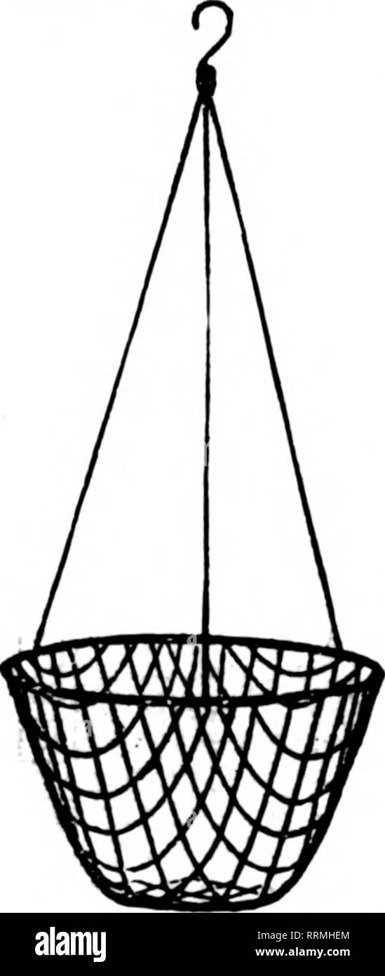 . Fioristi' review [microformati]. Floricoltura. Filo nei cestini appesi non è dei più economici ma il miglior fatto bene la natura dipinta, legate con filo zincato 6 alla dozzina di tasso, 50 a 100 rate di 8 pollici per dozzina, $1 2i; per 100, $8.00 10 pollici " 1.50; ' 10.00 i2 pollici " 1 7o; " 12.00 14 pollici '• 2.26; " 10.00 16 pollici '• 3 50: • 22.00 è pollici '• 5.00; " 36.00 foglio verde muschio . Verde lungo i fogli per appendere cesti per fascio... $1.00 5 fasci.. .$4 76 10 fasci.. .$9.00 25 fasci.. .$21.00 C. E. CRiTCHELL Wholenle Conmimii Timt 15 EAST TERZA ST. Di CINCINNATI. 0. Menzionare il riesame Foto Stock