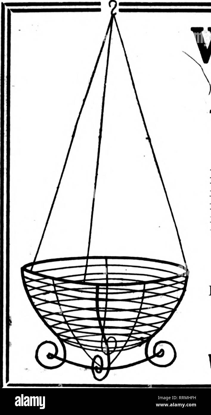 . Fioristi' review [microformati]. Floricoltura. Marzo 15, 1917. I fioristi' Riesaminare 43. Filo nei cestini appesi non è dei più economici ma il miglior fatto bene la natura dipinta, legate con filo zincato 6 alla dozzina di tasso, 50 a 100 rate di 8 pollici per dozzina, $1 2i; per 100, $8.00 10 pollici " 1.50; ' 10.00 i2 pollici " 1 7o; " 12.00 14 pollici '• 2.26; " 10.00 16 pollici '• 3 50: • 22.00 è pollici '• 5.00; " 36.00 foglio verde muschio . Verde lungo i fogli per appendere cesti per fascio... $1.00 5 fasci.. .$4 76 10 fasci.. .$9.00 25 fasci.. .$21.00 C. E. CRiTCHELL Wholenle Conmimii Timt 15 EAST THI Foto Stock