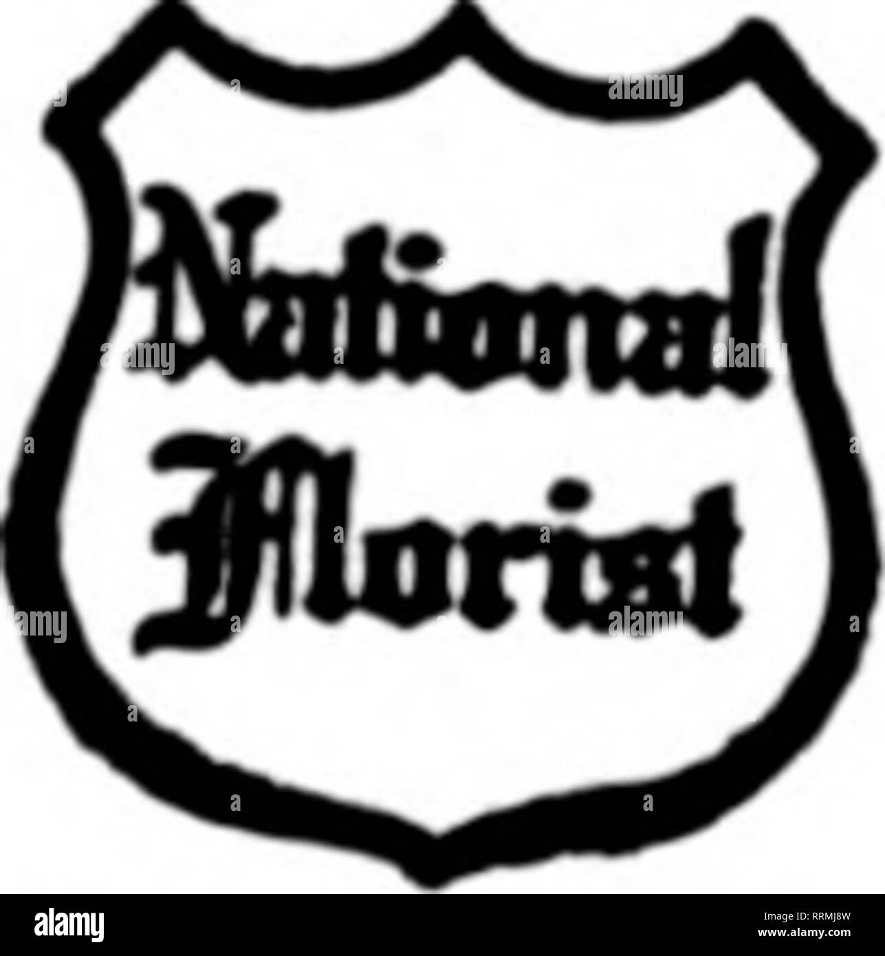 . Fioristi' review [microformati]. Floricoltura. Raggiungiamo aU .    Western E.principale da 5T N. Y. Polntfc ROSENDALE il negozio di fiori 126 Jay Street SCHENECTADY. N.Y. Nessun ordine troppo grande per come per riempire, nessuno troppo smaD per omiRideratioo.. Rawton, Hw FImM consegne a ELNIRA,N.Y. " .. ^^ Ithaca, Binshaa* ton. Homeil. Il mais^ne e altri ooints TheRo8eryf.?SSS; Flnwera consegnati a tutti Nearit&GT;y città. NEW JERSEY EDWARD SCBERY PATERSON e ir PASSAIO fioristi' Telesrraph Del. Am^9^ ^Tralee. N.J. [JBeiirf) MASSMANN Stati fioristi' Consegna del telegrafo TRENTON, N. J. PARK FLORAL CO., R. ABBOTT ftreenhooses-Buc Foto Stock