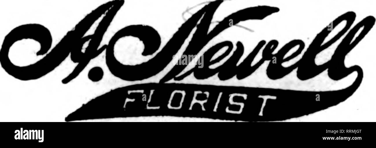 . Fioristi' review [microformati]. Floricoltura. ST. Giuseppe, MOt MITCHELL &AMP; QUENTIN ordini IW IOWA. RKBBASEA. KAITSAS AflO JBSKIOmi 'Ti/WO^ i. t Kansas City, MO. yKJftCMjU^fflCA. 88thSt.ed Euclid Ave, iMr/T7-fff(fy/RR^ EsUblished 1890 nessun ord(&GT;r troppo grandi o troppo piccoli Membor F- T. D. Springfield sementi Co. SPRINGFIFLO. MO. Dipartimento floreali aperta giorno e notte Mtmbers fioristi' Telesraoh Associazione per la consegna ha avuto un assortimento di speciali e varietà di fantasia sul display degli ultimi dieci giorni. Karl P. Baum sinistra 14 di luglio per una vacanza in montagna. Alex. H. Dailey buoni rapporti di affari. Egli è Foto Stock
