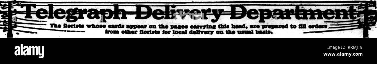 . Fioristi' review [microformati]. Floricoltura. 88 i fioristi^ Review Dicausn 12. 1918.. PITTSBURGH E IN PROSSIMITÀ DI Keenan Edificio, A. W. Smith Company PITTSBURGH, PA. ST. Paolo, DCIM. Il più grande STORE IN AMERICA Stati F. T. D. Am'ui la più bella e la più grande magazzino ovest di Chicaso. Awake nisht e giorno alla ricerca di ordini. HOLH &AMP; OLSON. lac. ^:^ .24 San Mankato, Minn. Il WINDMILLER CO. Fiori a tutti i punti del percorso con preavviso breve stati fioristi' Telegraph consegna. Si prega di notare che queste immagini vengono estratte dalla pagina sottoposta a scansione di immagini che possono essere state migliorate digitalmente per la leggibilità - la colorazione di un Foto Stock