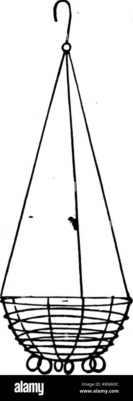 . Fioristi' review [microformati]. Floricoltura. Filo nei cestini appesi non è dei più economici ma il miglior fatto bene la natura dipinta, legate con filo zincato 6 alla dozzina di tasso, 50 a 100 rate di 8 pollici per dozzina, $1.25; 10 pollici ' " 1,60; 12 pollici " 1,75; 14 pollici , " 2,25; 16 pollici " 3.50; 18 pollici " 5.00; per 100, $ 8.00 10.00 12.00 16.00 22.00 35.00 foglio verde muschio verde lungo i fogli per appendere cesti per fascio... $1. 00 6 fasci... $4. 75 10 fasci... $9. 00 25 fasci... $21. 00 C. E. CRITCHELL WMesde Cnunimn Himt 15 EAST TERZA ST. Di CINCINNATI. 0. Migliore qualità S-inch Hantfln Foto Stock